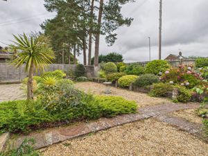 Garden- click for photo gallery